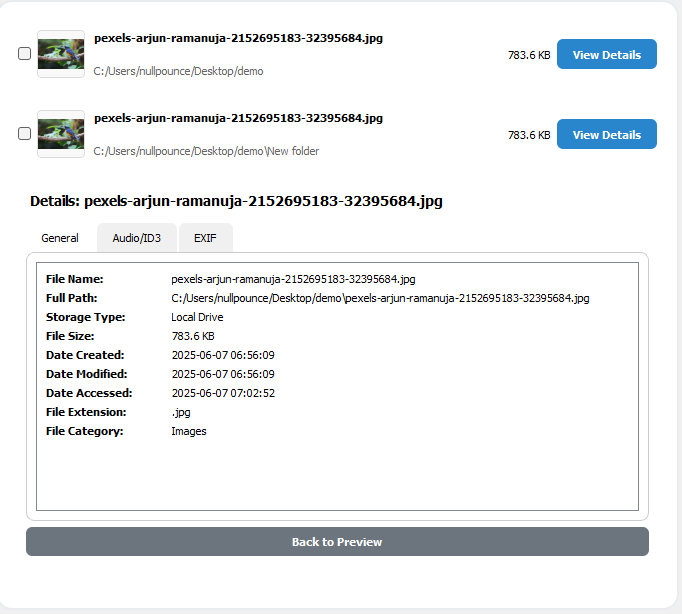 DupeSweep file details pane showing ID3, EXIF metadata and hash information
